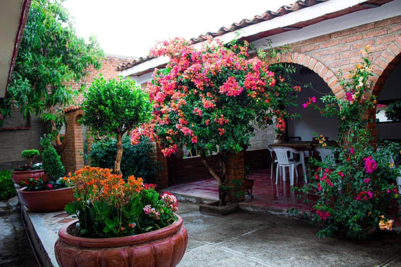 Villa Flores, Casa En El Centro De ماسكوتا المظهر الخارجي الصورة